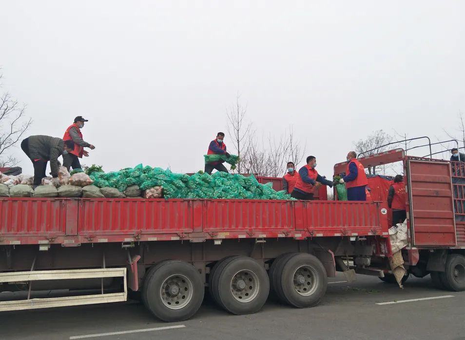 1686796780940828.jpg 0602f603f336650f427fc450a0347034.jpg