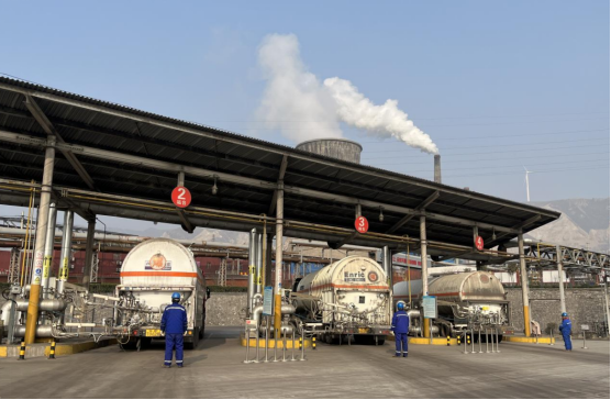 1686797811244778.png e15162d4acdee7f2bcf4d2b735a3d577.png